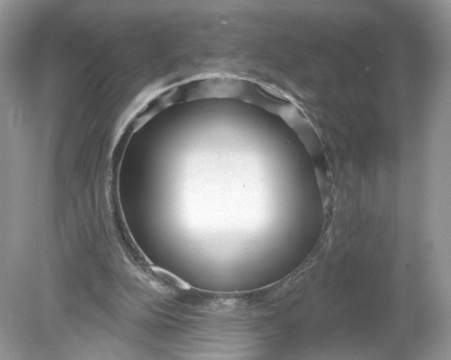 X0000078890152200612042059