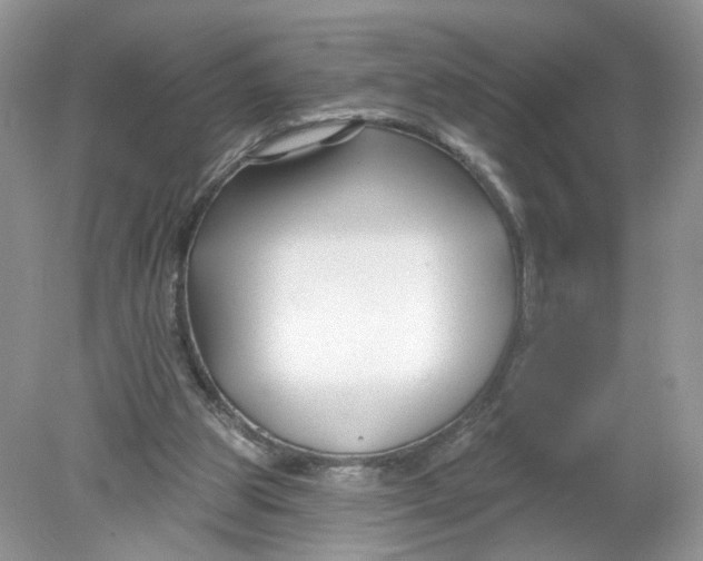 X0000078890153200612042059