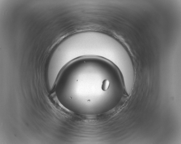 X0000078890154200612042059