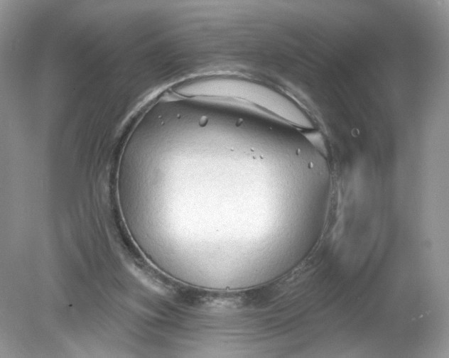 X0000078890155200612042059