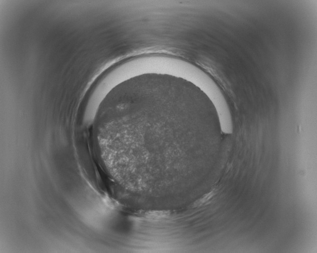 X0000078890156200612042059