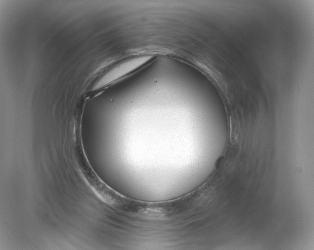 X0000078890157200612042059