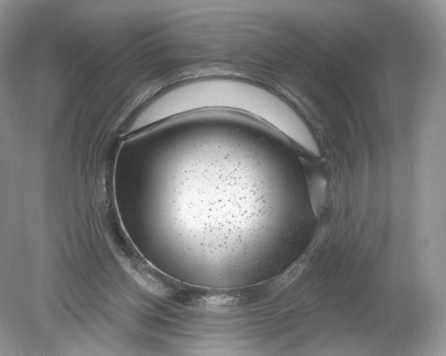 X0000078890158200612042059