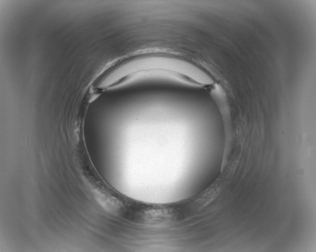 X0000078890160200612042059