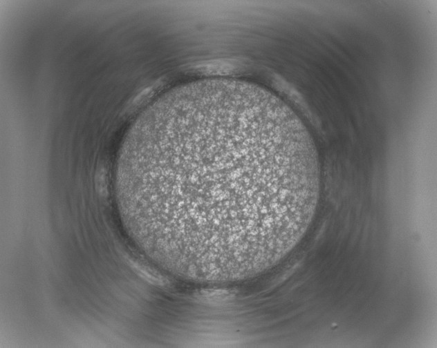 X0000078890161200612042059