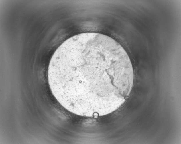 X0000078890162200612042059