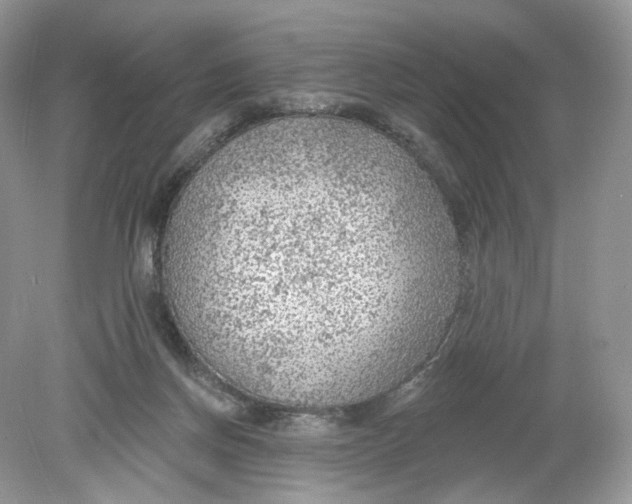 X0000078890166200612042059