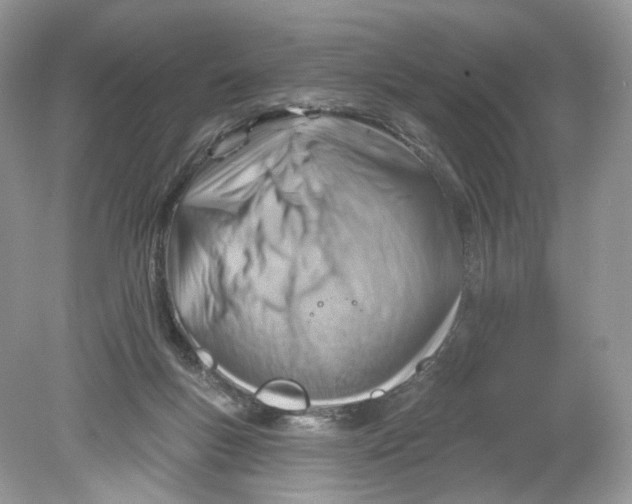 X0000078890167200612042059