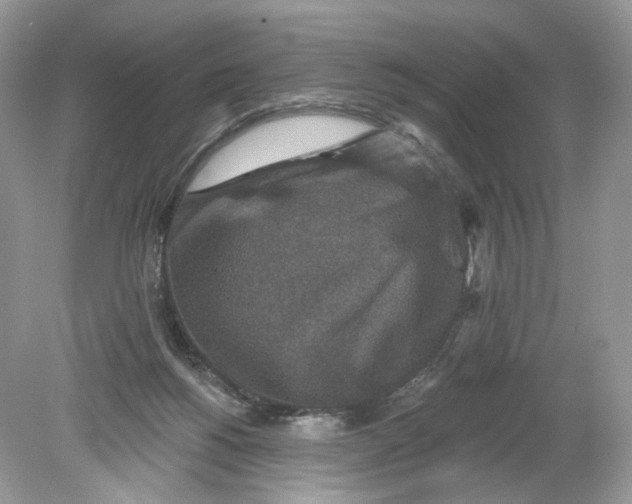 X0000078890168200612042059