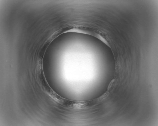 X0000078890172200612042059