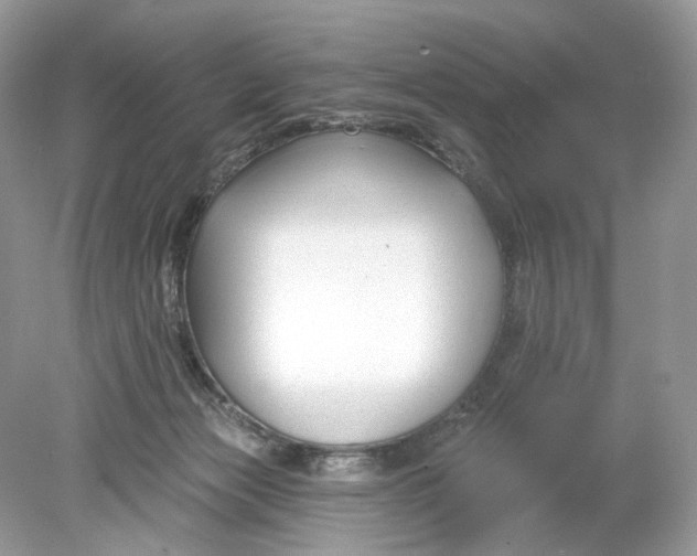 X0000078890173200612042059