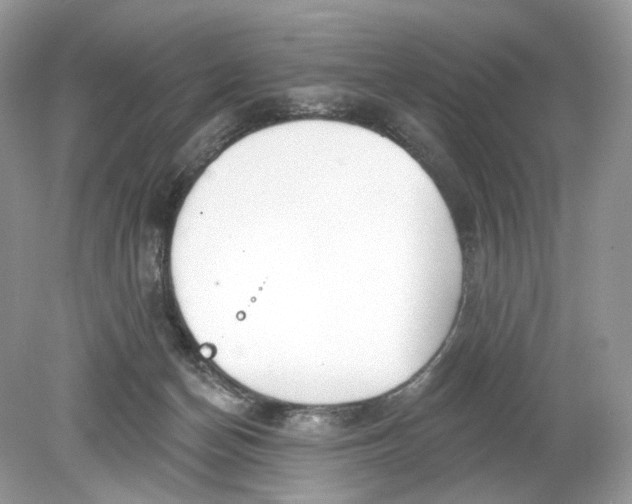 X0000078890174200612042059