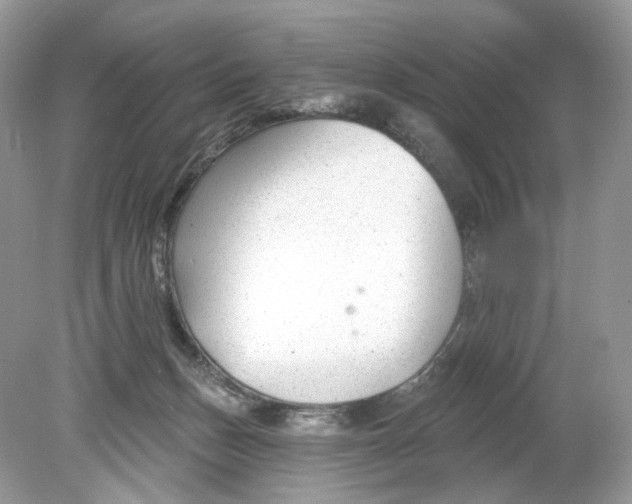 X0000078890175200612042059