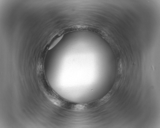 X0000078890176200612042059