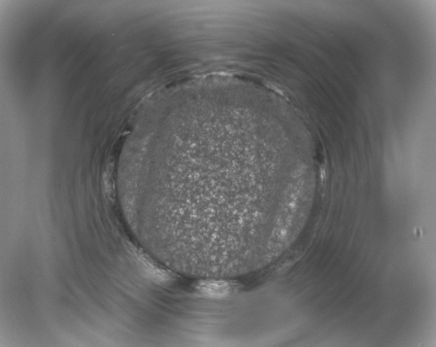 X0000078890181200612042059