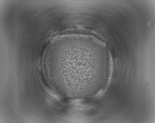 X0000078890182200612042059