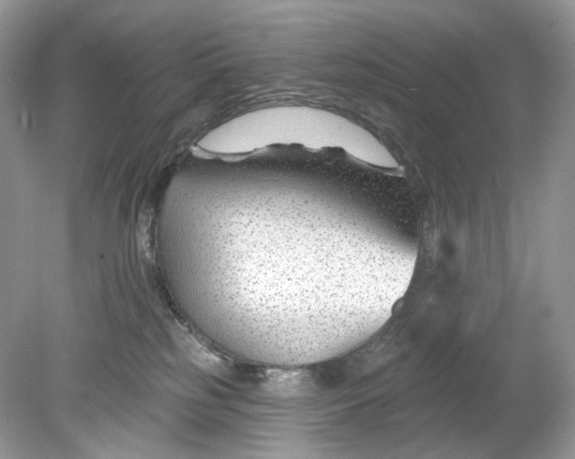 X0000078890185200612042059