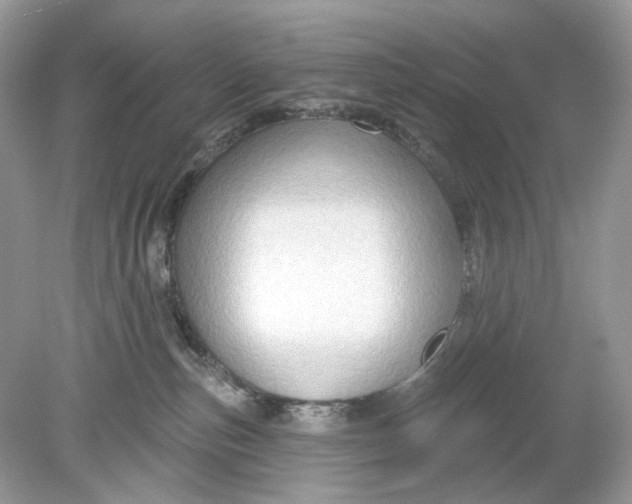 X0000078890187200612042100