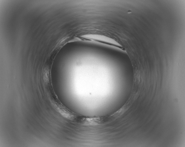 X0000078890188200612042100