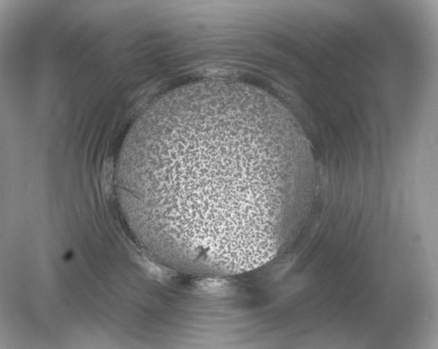 X0000078890189200612042100