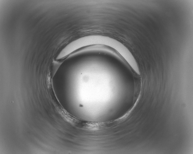 X0000078890190200612042100