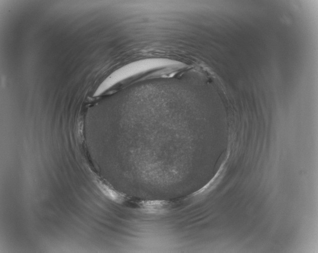 X0000078890192200612042100