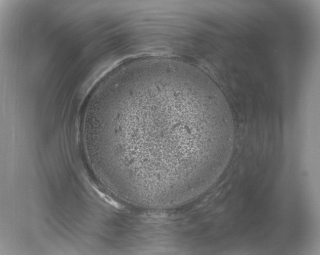 X0000078890194200612042059