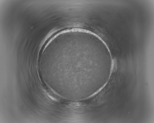 X0000078890195200612042059