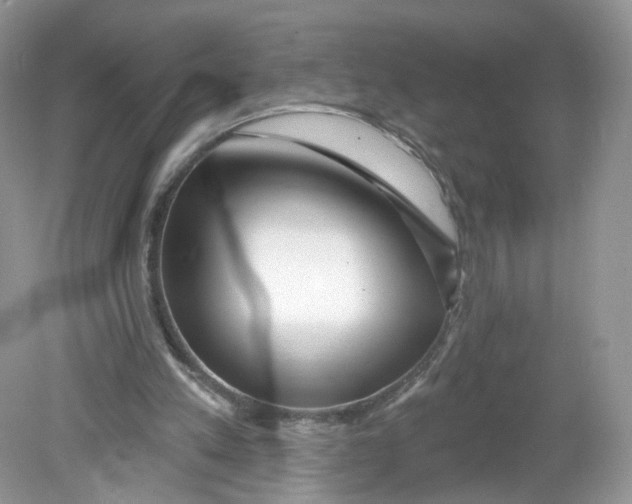 X0000078890197200612042059