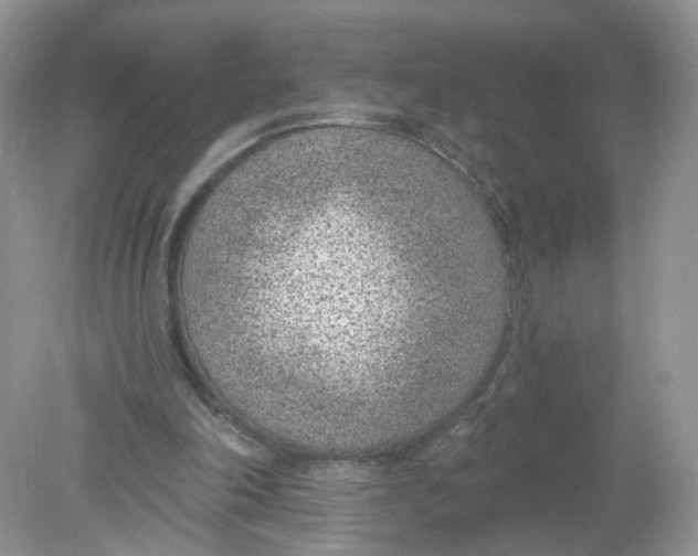 X0000078890198200612042059