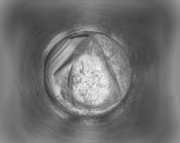 X0000078890199200612042059