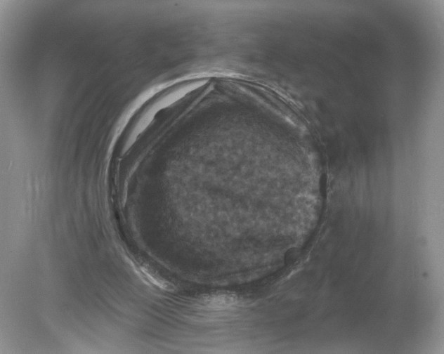 X0000078890200200612042059