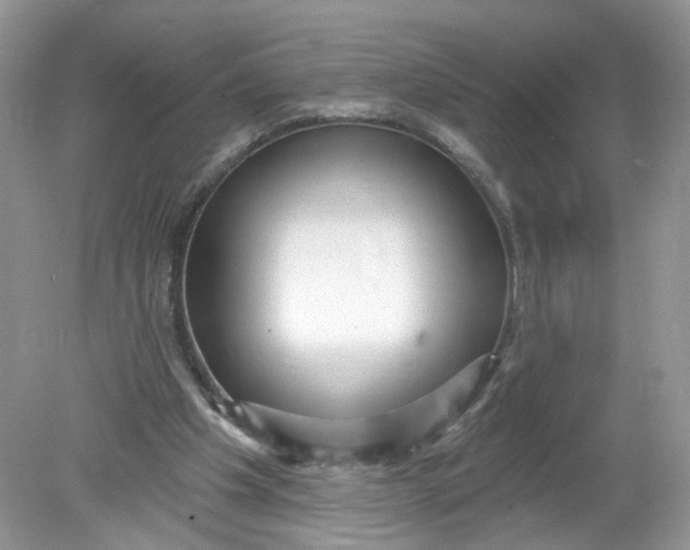 X0000078890201200612042059