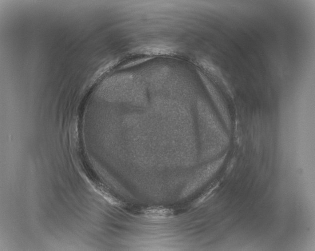 X0000078890202200612042059