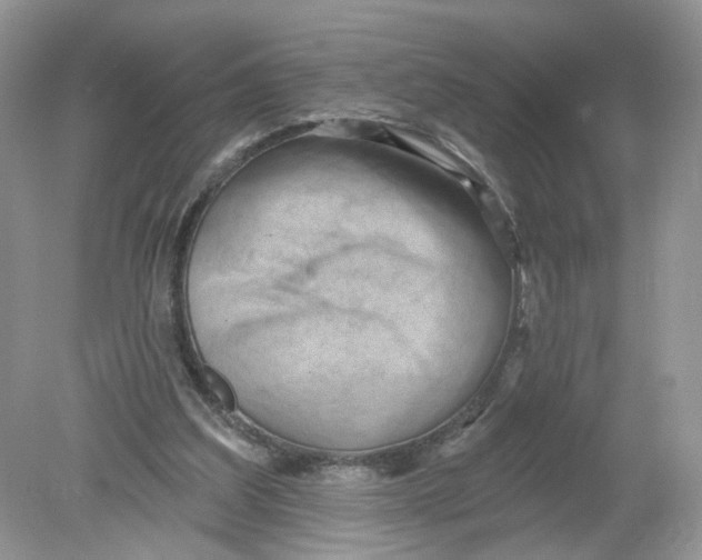 X0000078890203200612042059