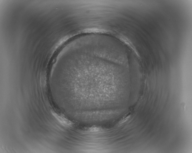 X0000078890204200612042059