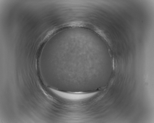 X0000078890205200612042059