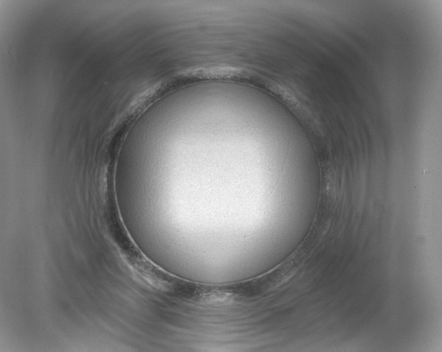 X0000078890206200612042059