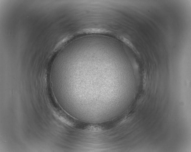 X0000078890207200612042059