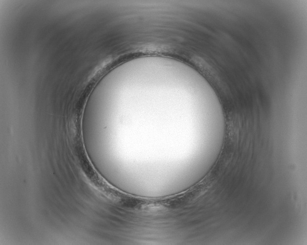 X0000078890208200612042059