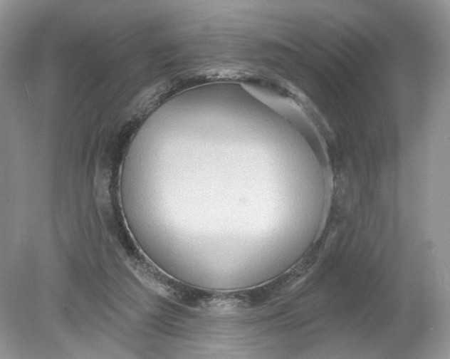 X0000078890209200612042059