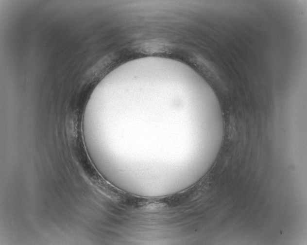 X0000078890210200612042059