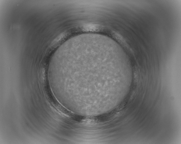 X0000078890211200612042058