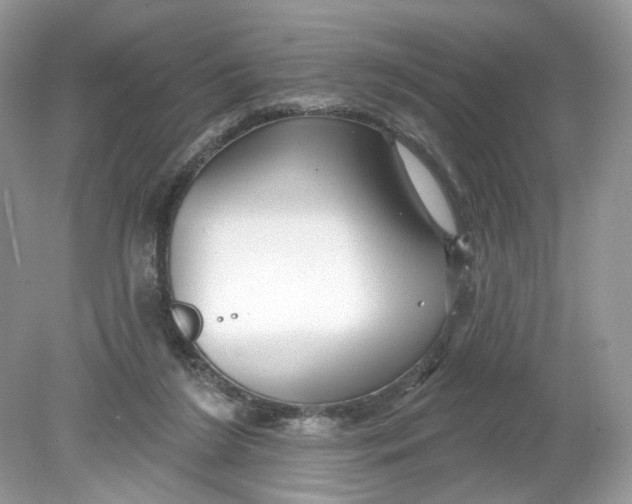 X0000078890212200612042058