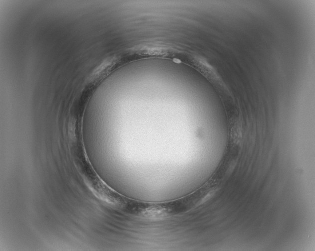 X0000078890213200612042058