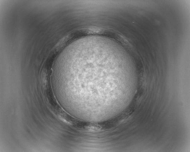 X0000078890215200612042058