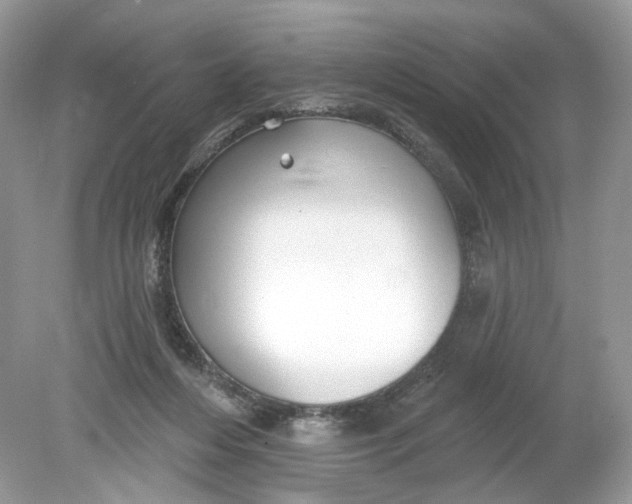 X0000078890216200612042058