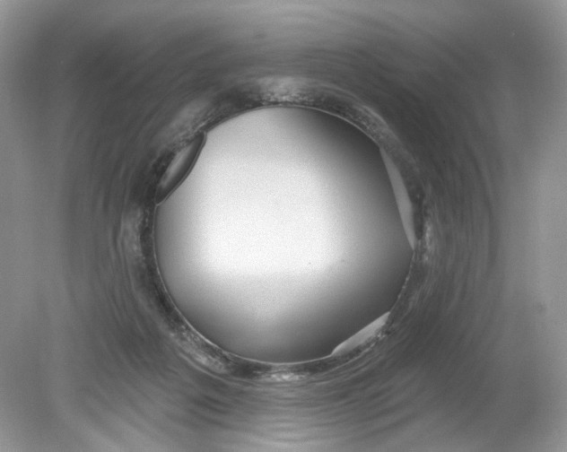 X0000078890217200612042058