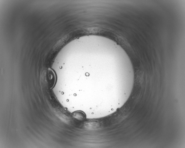 X0000078890220200612042058