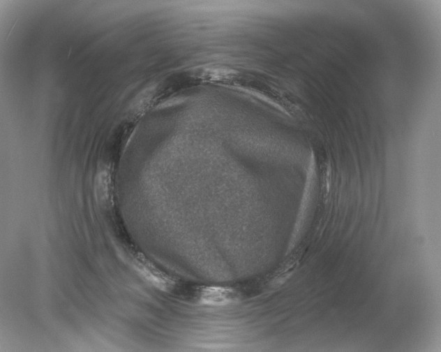 X0000078890222200612042058